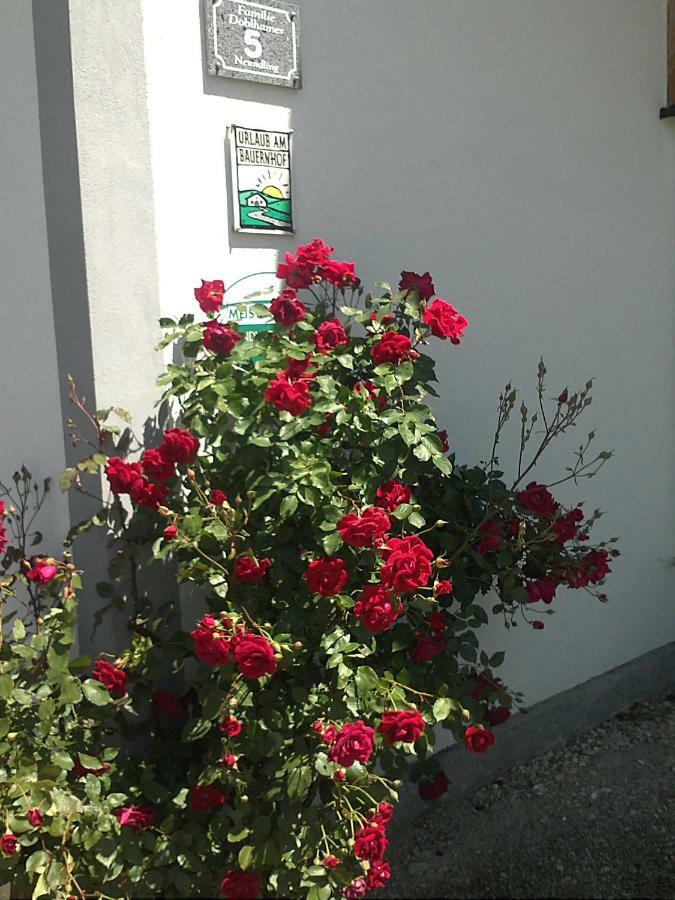 Schnatterhof Βίλα Lambrechten Εξωτερικό φωτογραφία